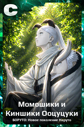 Карточка персонажа Момошики и Киншики Ооцуцуки