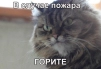 Бэндарь