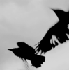 _0lucifer_